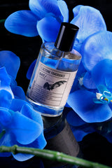 Black Phantom, Black Orchid & Invictus Inspired Perfume Trio Set eau de parfum by Lactone Perfume