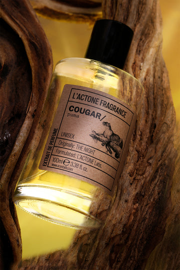 The Night, One Million & Casanova eau de parfum by Lactone Perfume